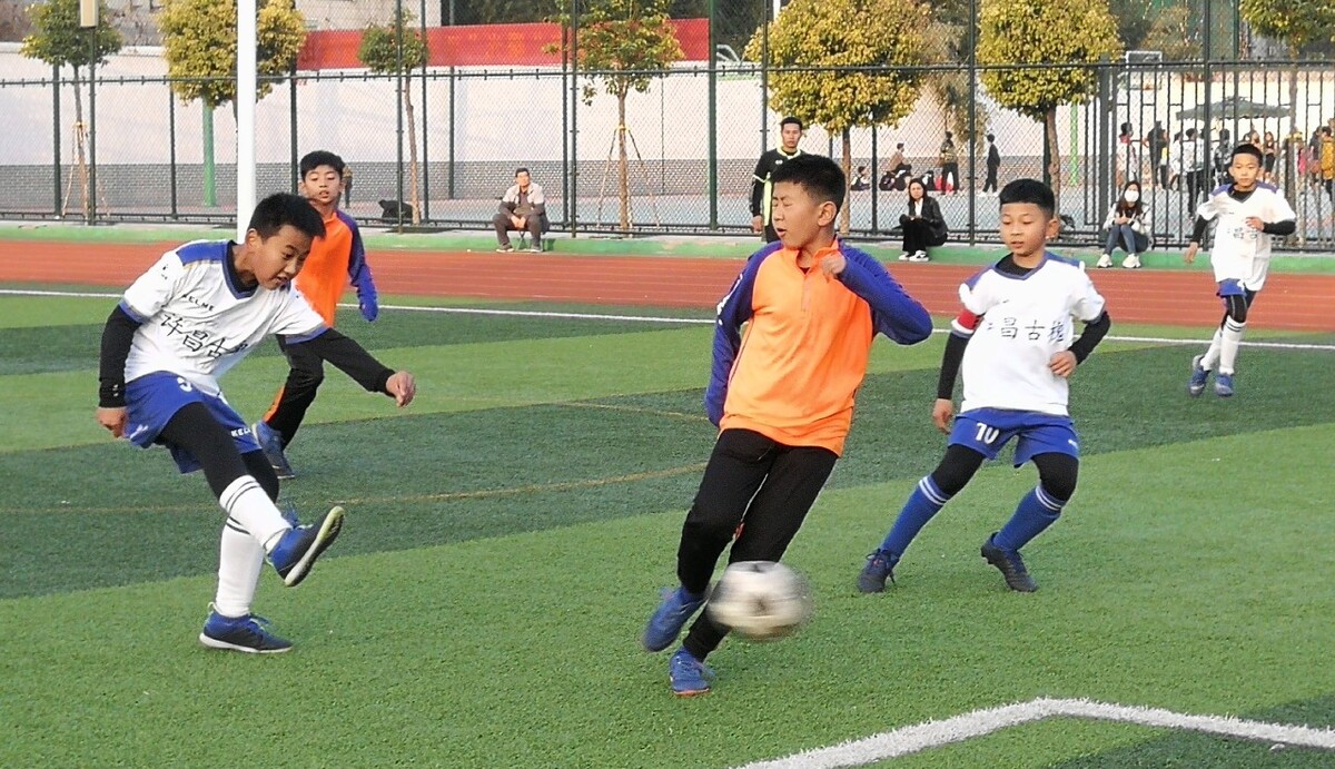 在接下来的 在接下来的