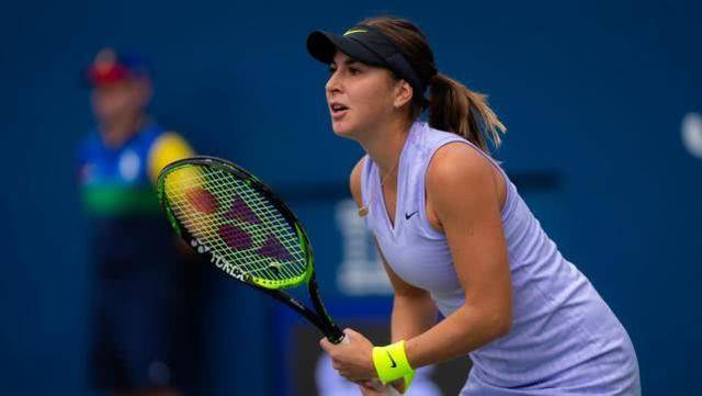 文章将探讨 文章将探讨